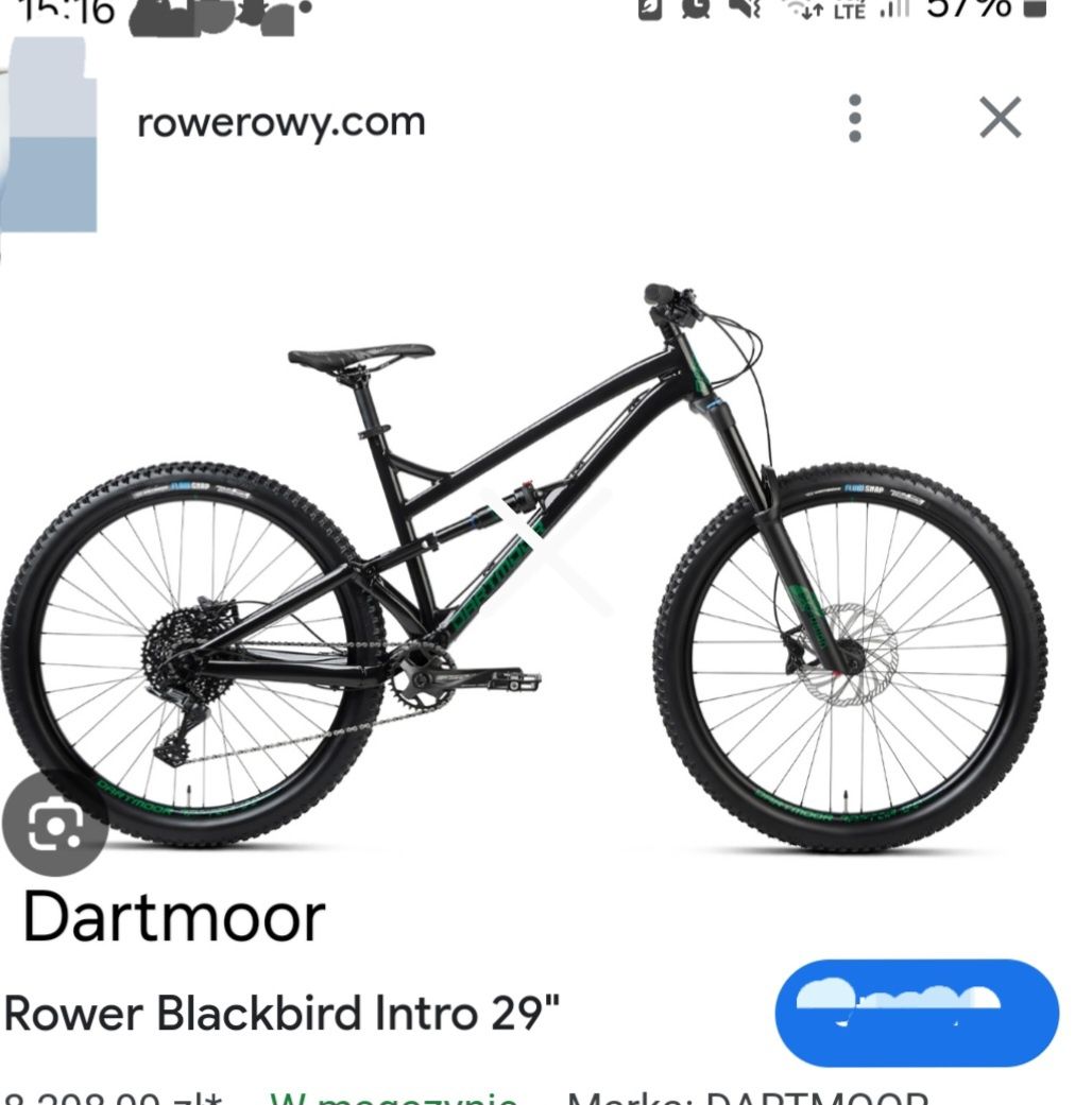 Dzień dobry dartmoor blackbird rozmiar l