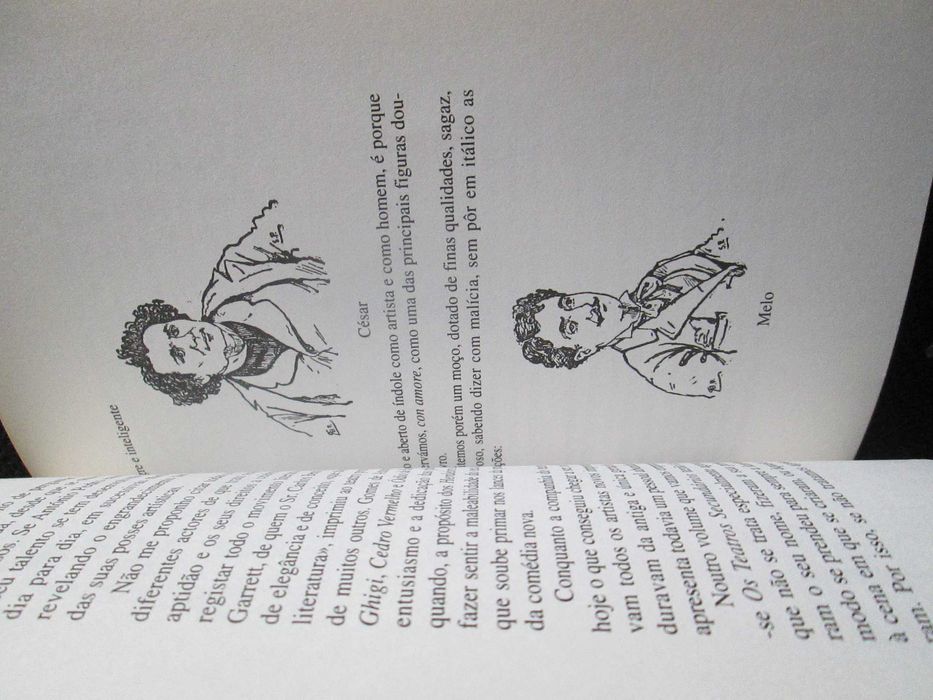 Os Teatros de Lisboa, de Júlio César Machado