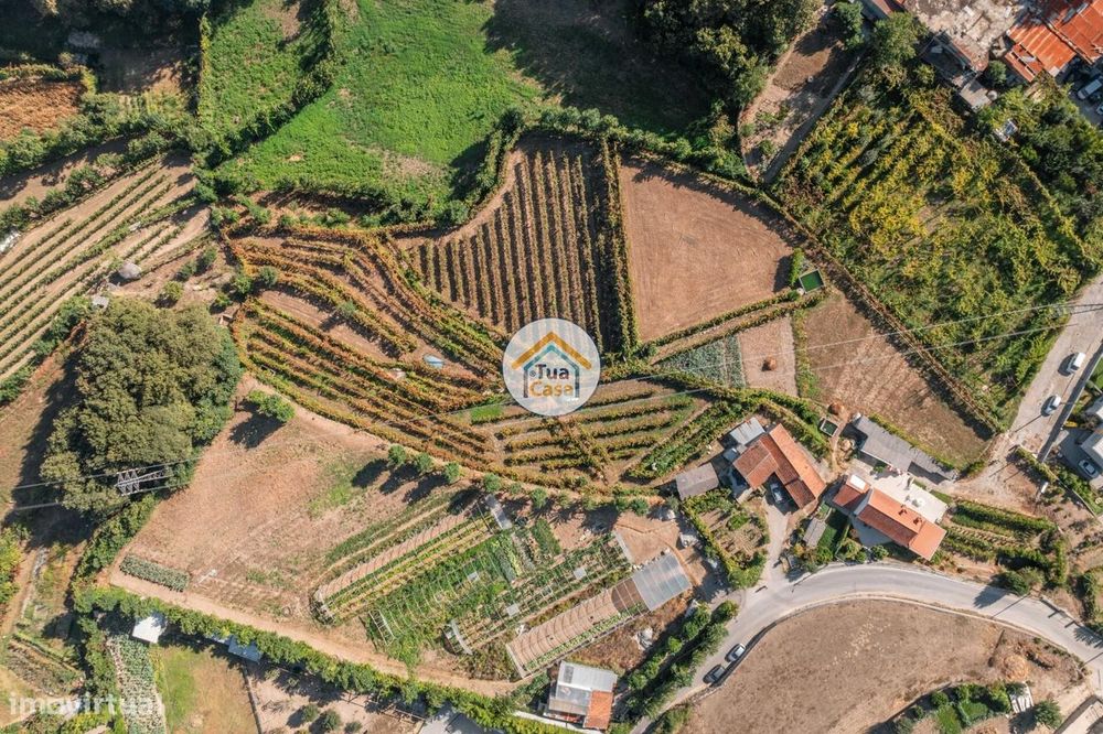 Quinta com Adega Regional, Casa de Pedra para Restauro e Vinha