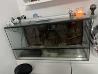 Terrário em VIDRO para répteis Completo