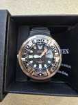 Citizen Promaster Aqualand 300m
