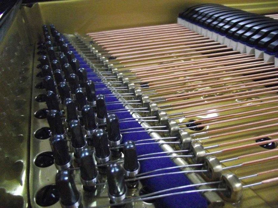 Fortepian firmy BLUTHNER piękna Wersja Jubileuszowa z 1900r Nr 54787