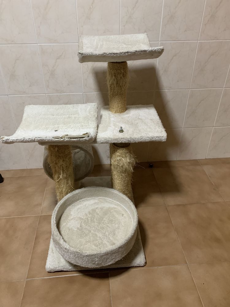Arranhador gatos