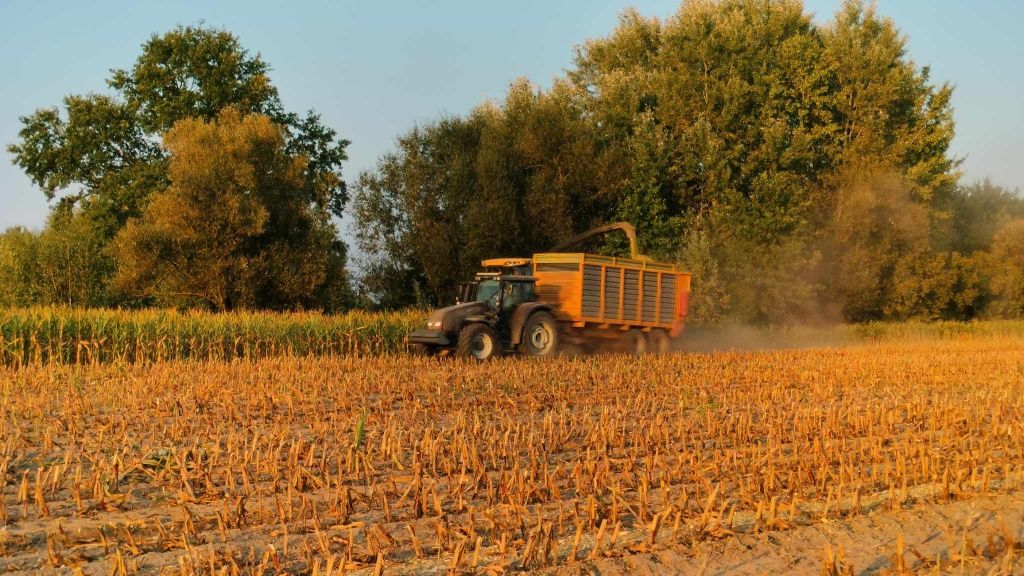 Usługi rolnicze siew kukurydzy zbóż i potsiew traw zbiór kukurydzy na