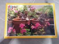 Puzzle 500 peças