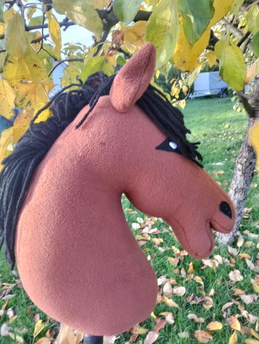 Hobby horse (pilne) cena do negocjacji