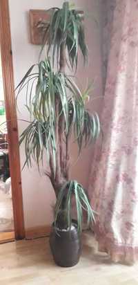 Декоративна штучна пальма