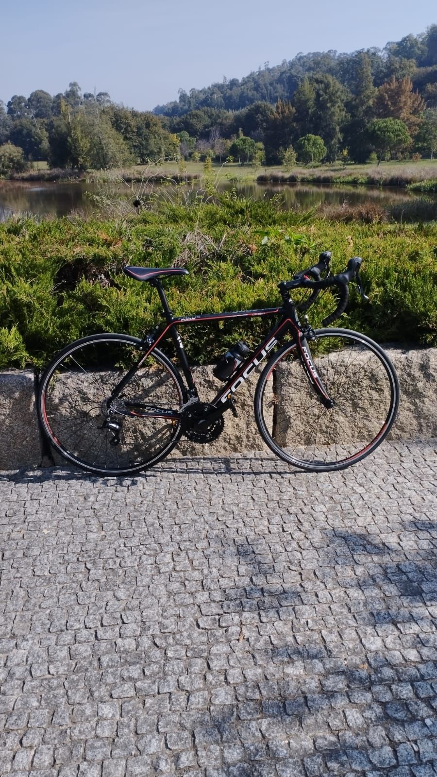 Bicicleta de estrada Focus