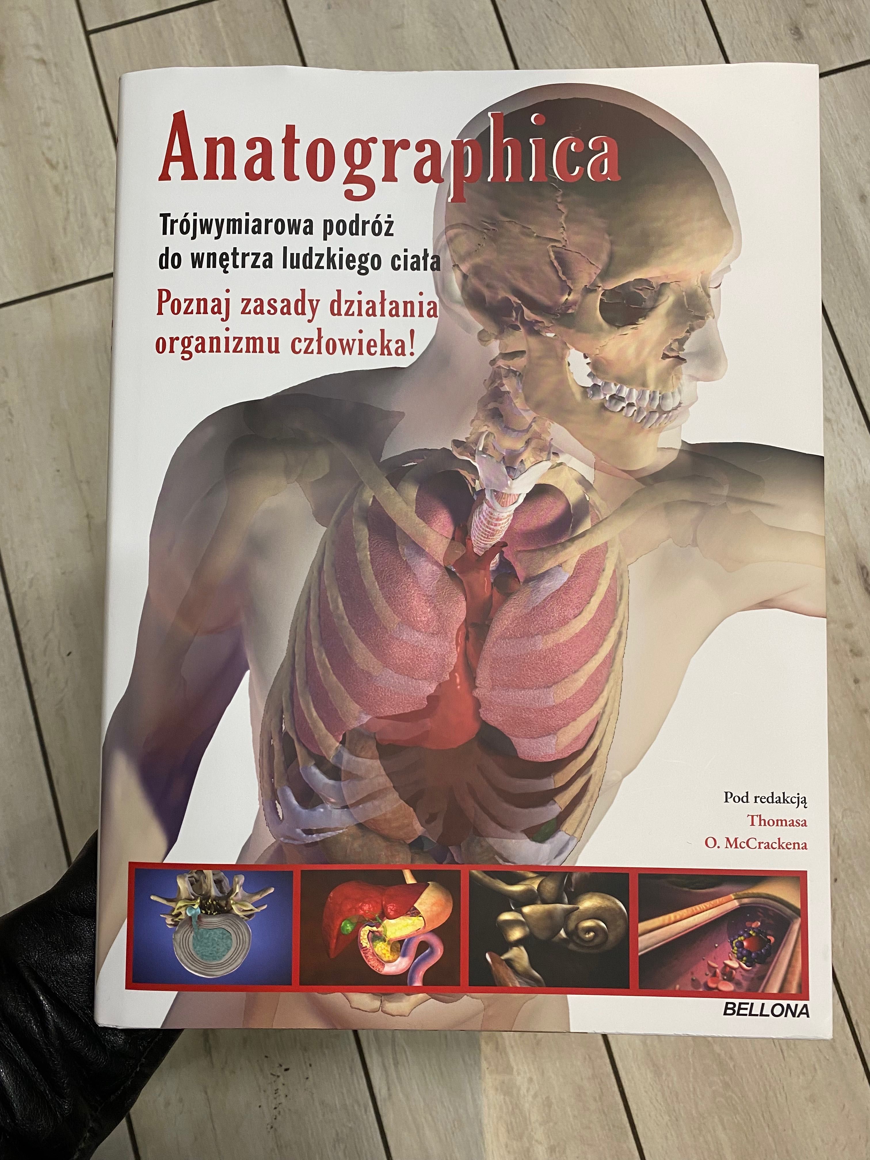 Anatographica- Thomas O. McCracken, atlas anatomiczny
