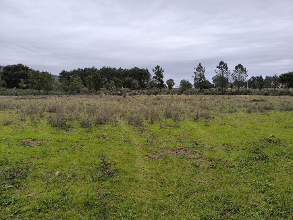 Terreno  com 6750 m2 em Catrão, Vale de Prazeres, Fundão.