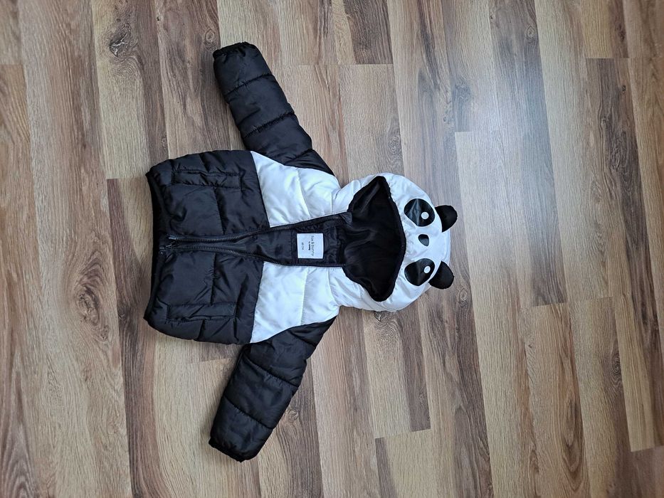 Kurteczka przejściowa panda