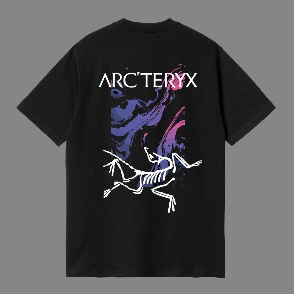 Оригинальная футболка Arcteryx // Футболка артерикс