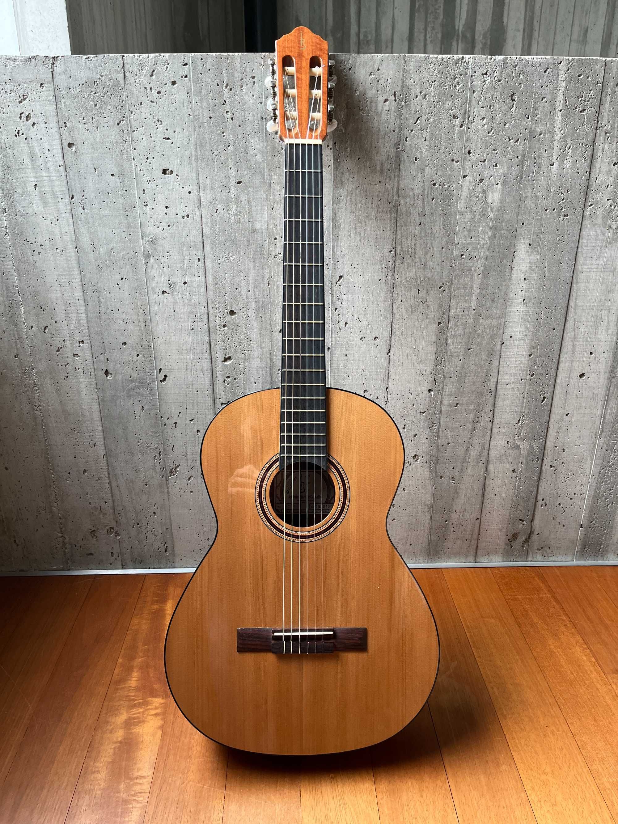 Guitarra acústica 7/8 - APC 1C (com saco GEWA)