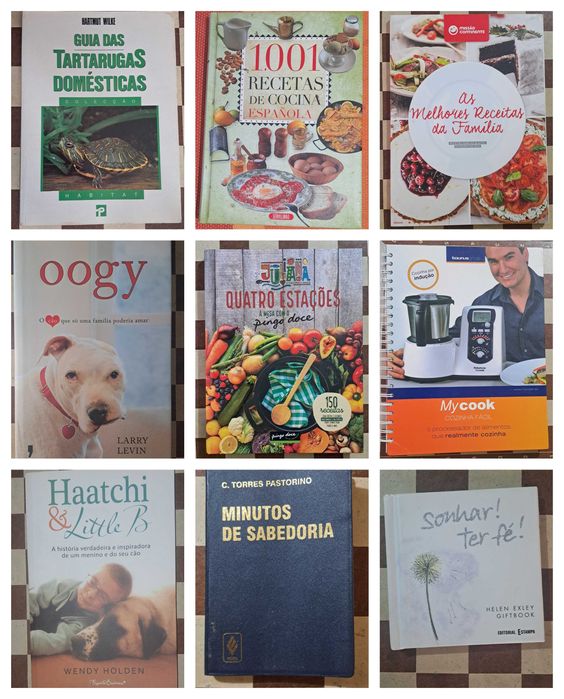 Conjunto lote 46 livros vários temas e géneros