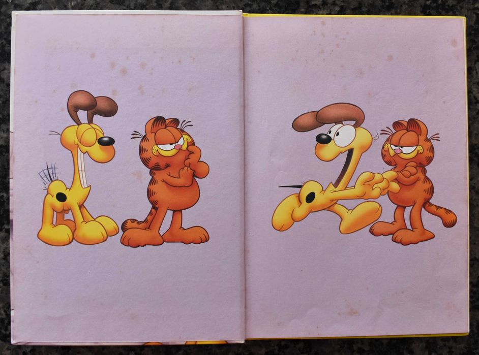 Garfield na Quinta