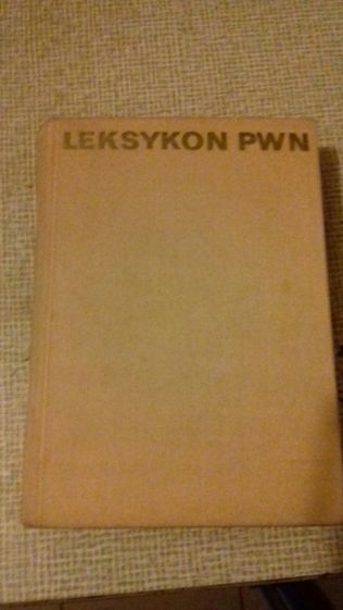 Książka słownik ilustrowany języka polskiego 1916 rok