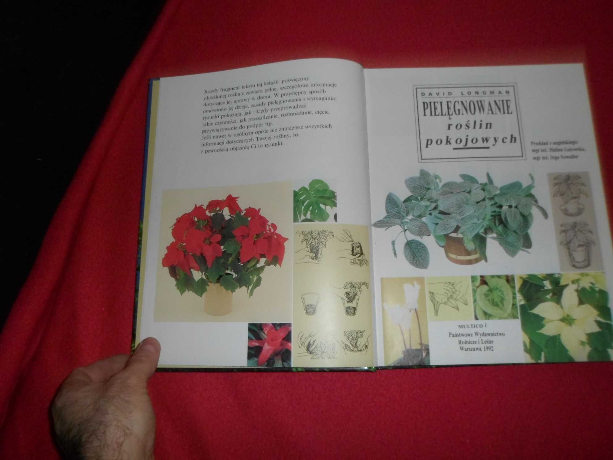 David Longman - Pielęgnowanie roślin pokojowych 1992 twarda okładka