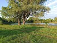 ‼️25 — 50 га садівництво Сулимівка з дубовим гаєм та видом на озеро.