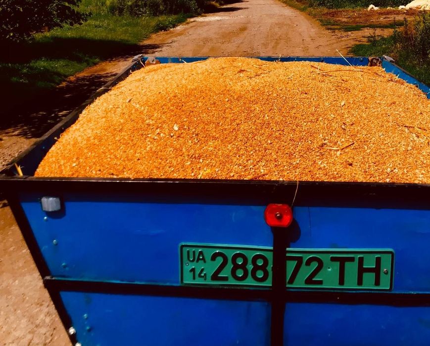 Продам пшению ціна 8.5