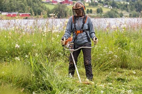 Kosa spalinowa stihl Fs240 żyłkowa żyłka wynajem wypożyczalnia nóż