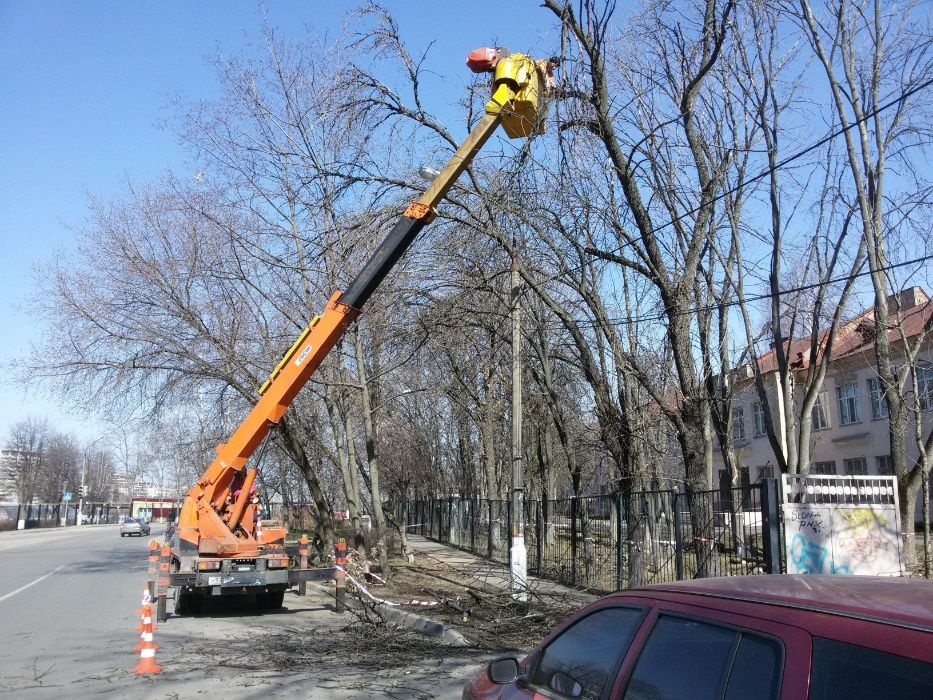 Спилим, обрежем, кронируем деревья, вывоз ветки