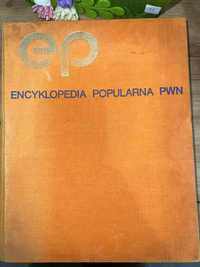 Książka Encyklopeia popylarna PWN