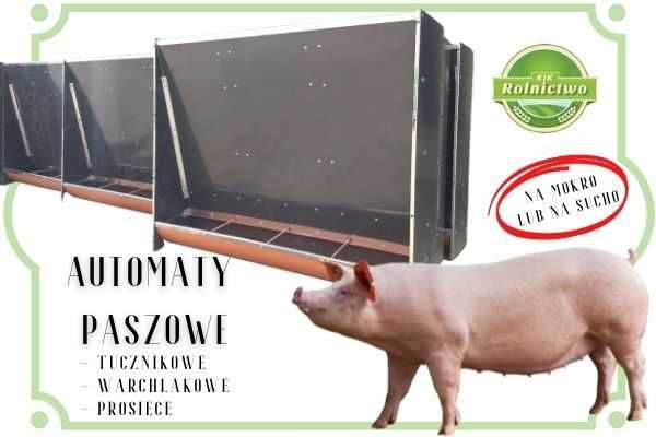 Paszownik na sucho tucznikowy_Automat paszowy 2-stanowiskowy dla świń