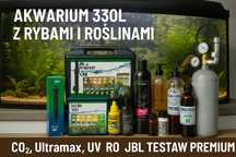 Akwarium 330L z rybami i pełnym wyposażeniem – gotowe do startu!