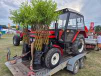 TIH445 Zetor 5211 TUR ND5018 miękka Forterra 130HSX ZT323 Mx135 Mx150