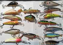 P. woblery na polskie wody Rapala minnow, FatRap, Hornet , Jaxon deep