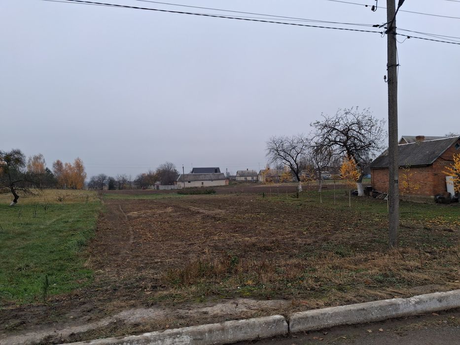 Земельна ділянка в ЦЕНТРІ с.Борохів