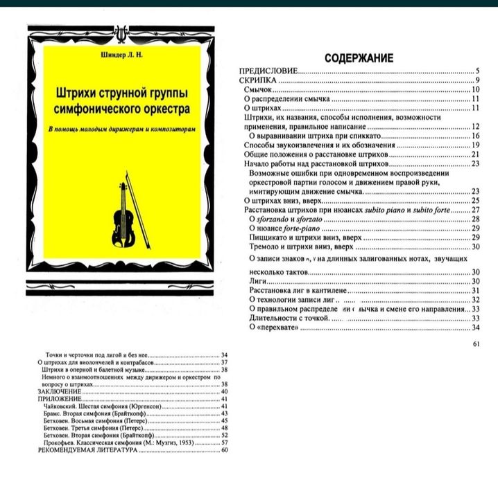 Ноты для скрипки 
Штрихи струнной группы симфонического оркестра Шинде