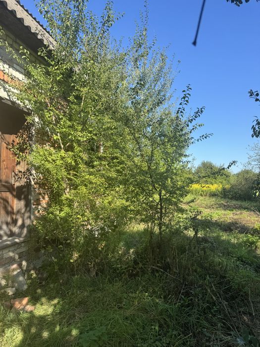 Дачна ділянка з недобудованим будинком у Микитинцях