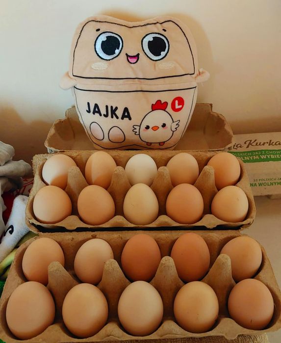 Jaja wiejskie...