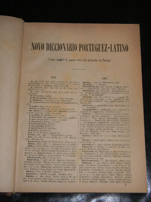 Manoel Bernardes Branco, Dicionário Portuguez Latino, 2ª Edição, 1884