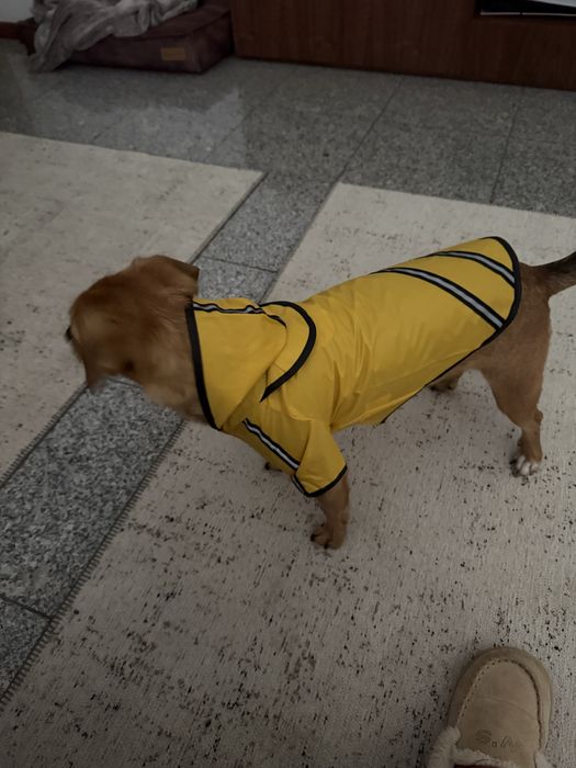 Impermeaveis animais