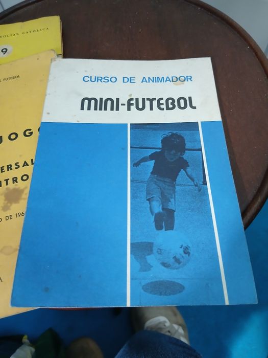Curso de Animador Mini-Futeboll