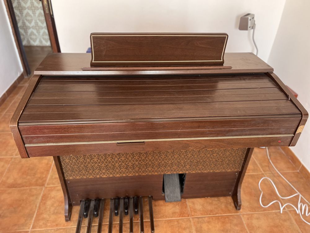 Órgão / piano ( não uso )