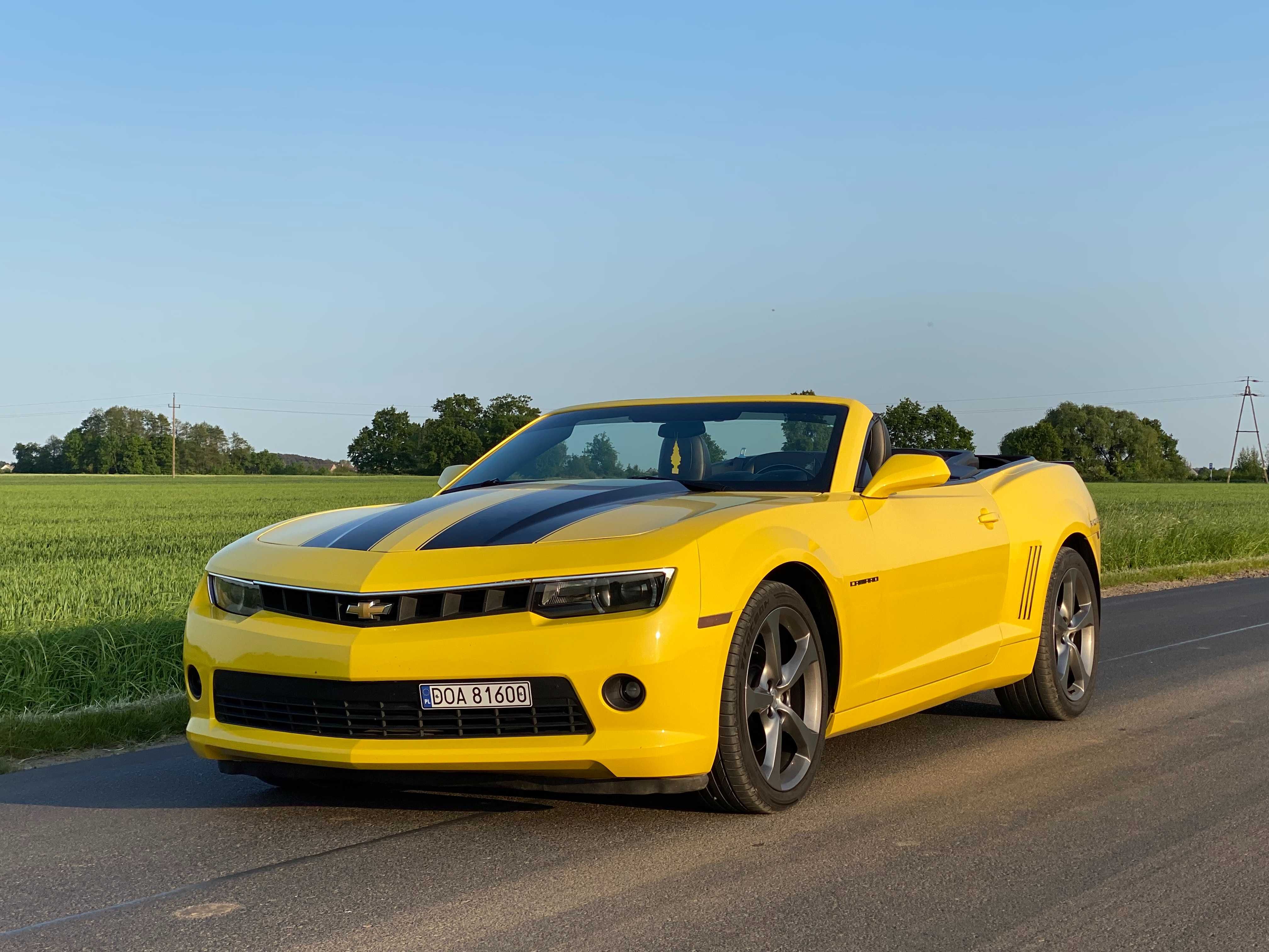 Wynajem Chevrolet Camaro *Cabriolet Bumblebee* Wesela/Teledyski