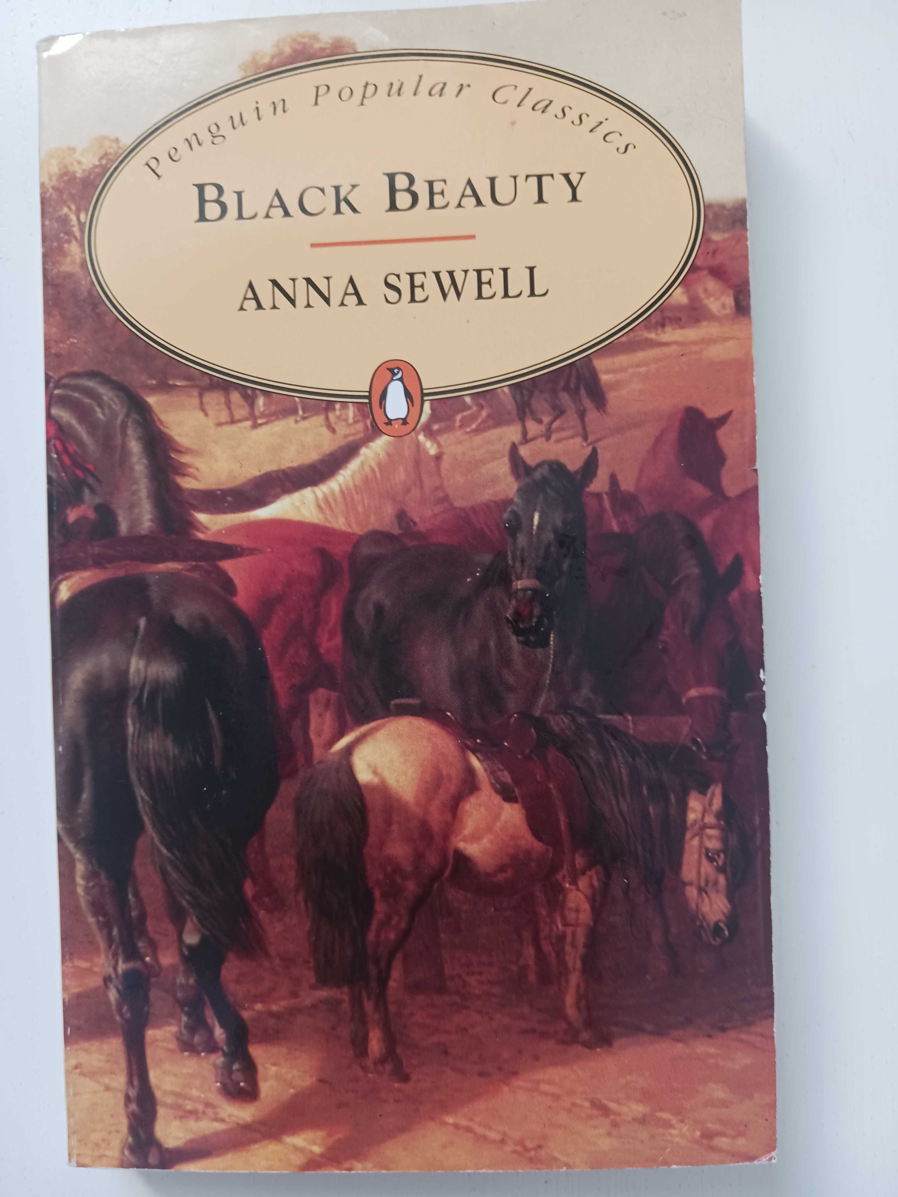 Black Beauty - A. Sewell po angielsku