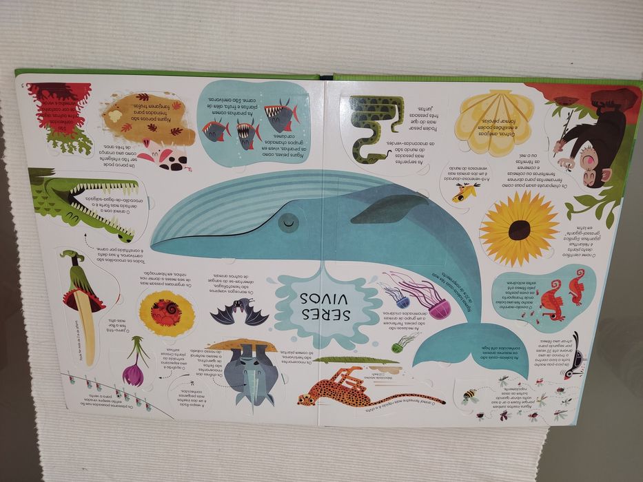 Espreita o conhecimento