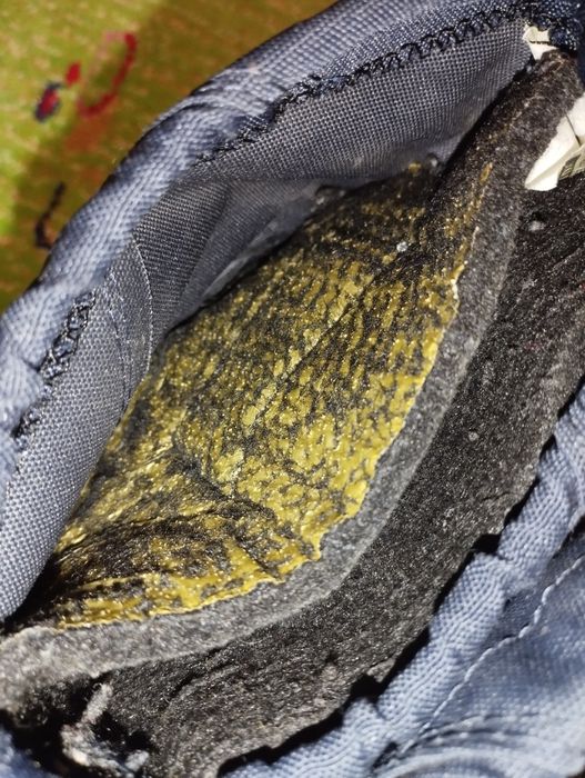 Kamik Снігоходи для хлопчика, водонепроникні чоботи осінь зима