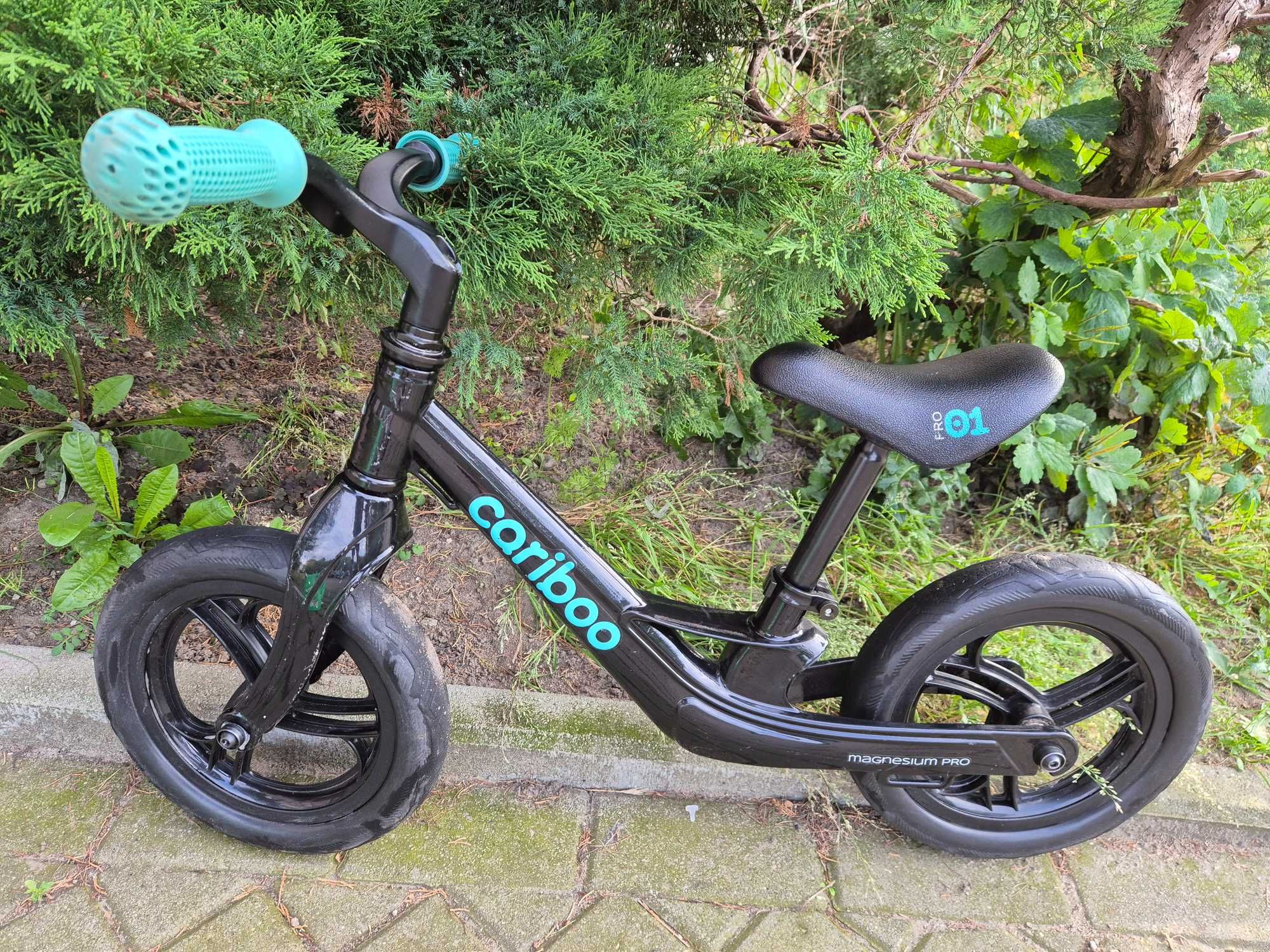 Rowerek biegowy Cariboo Magnesium Pro
