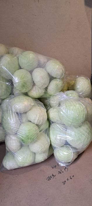 Капуста з поля Опт