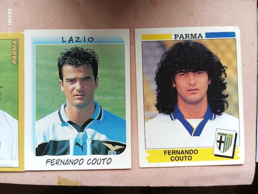 Fernando Couto Panini