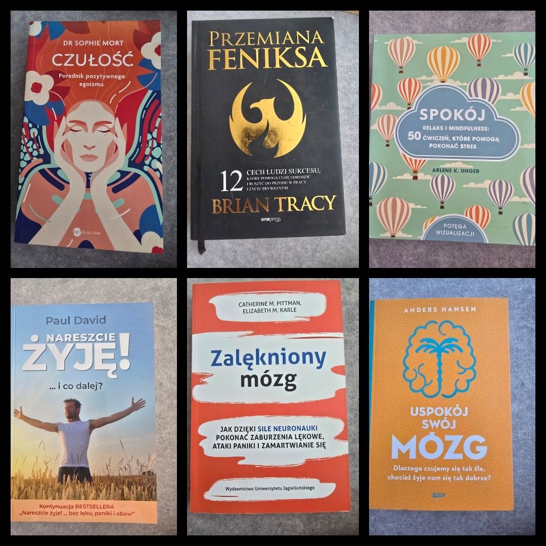 Książki poradniki psychologiczne  rozwój osobisty