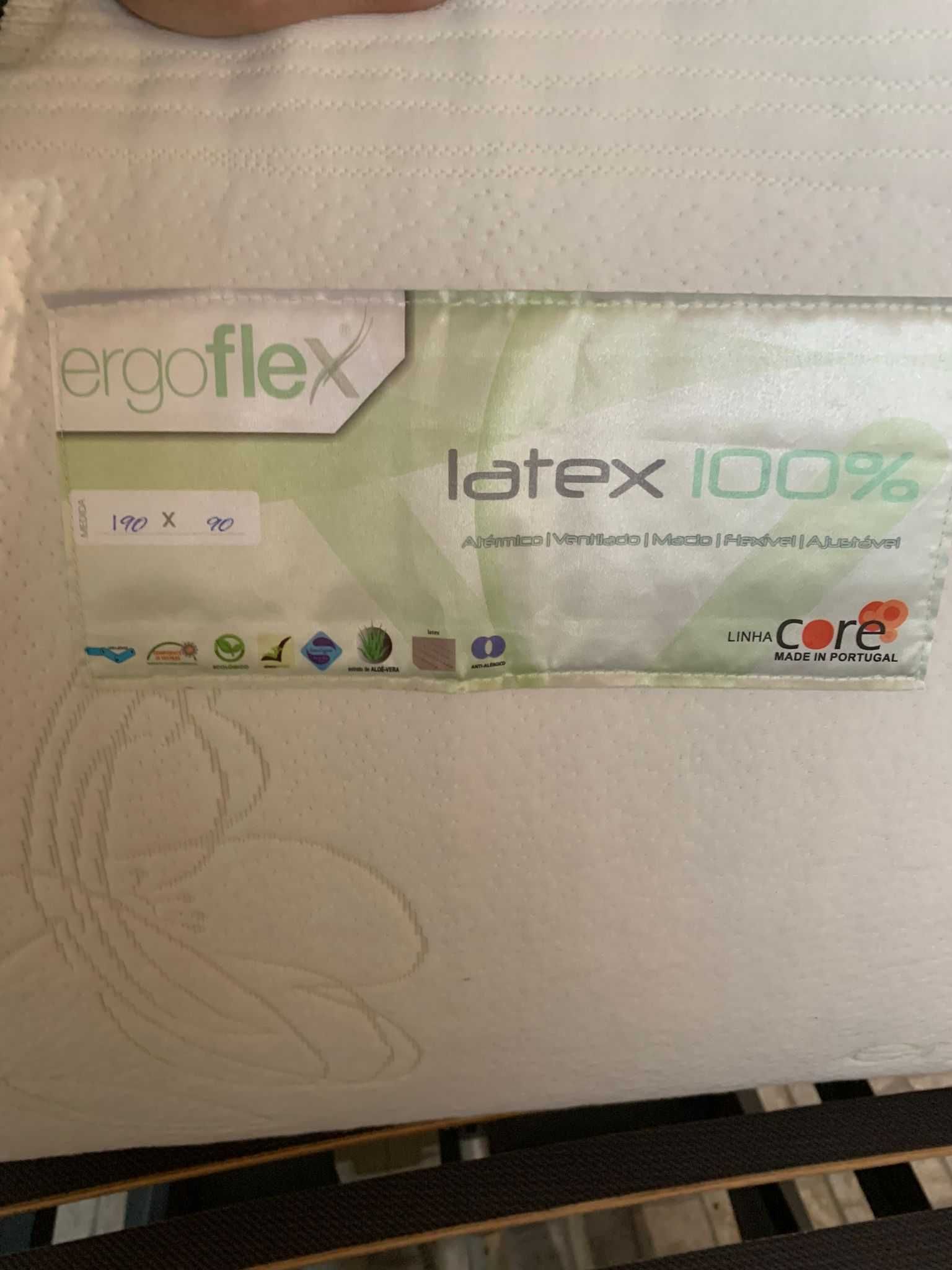 Cama Articulada Elétrica + Colchão Ergoflex