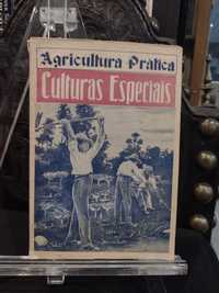 Agricultura Prática Culturas Especiais - Sezinando Flores