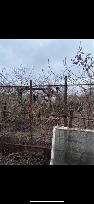 Продам дачу + участок