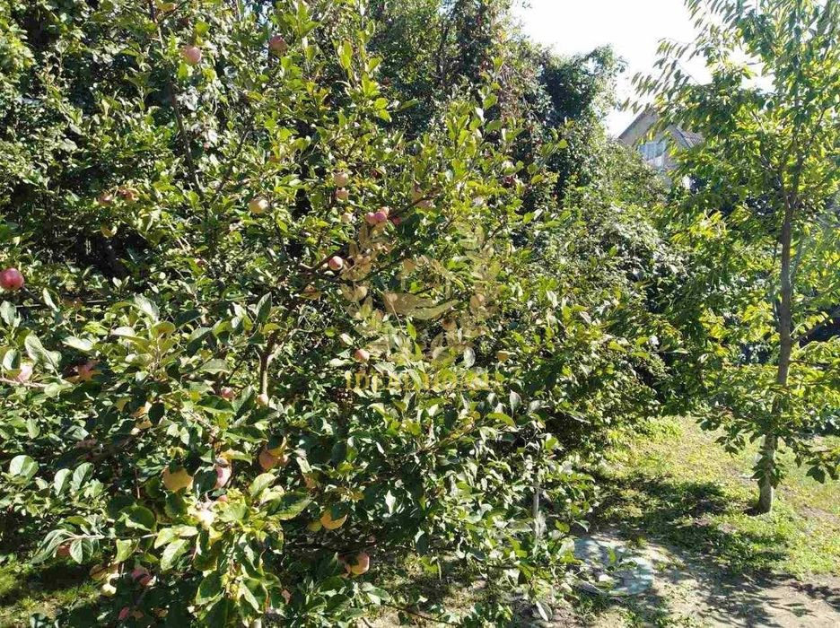 Продам двоповерховий дачний будинок поблизу с.Блиставиця